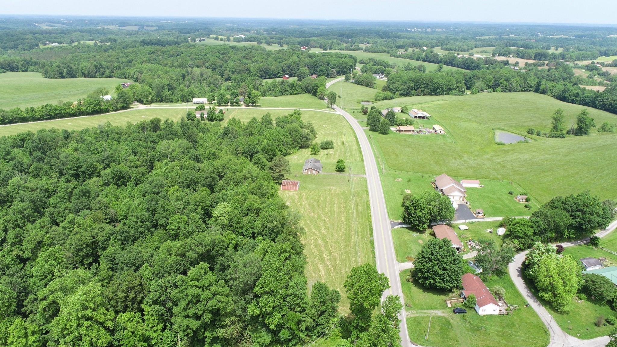 7 Whitson Hollow Road Red Boiling Springs, TN 37150 - Photo 3 of 5 an aerial view of huge green field with lots of green plants in it