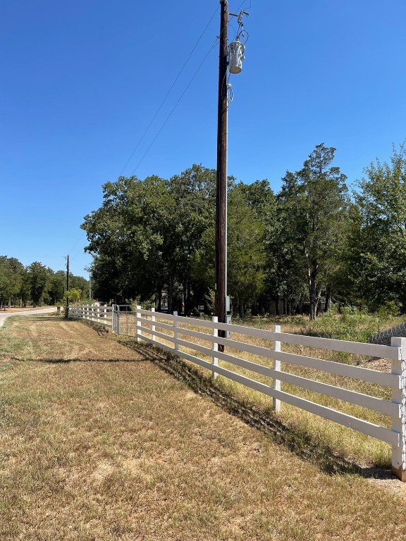 a view of a yard with a floor to ceiling window and palm tree