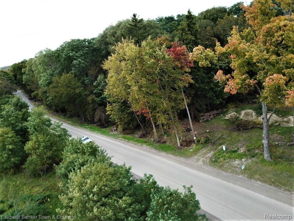 0 Mcclements Road Brighton, MI 48114 - Photo 3 of 17