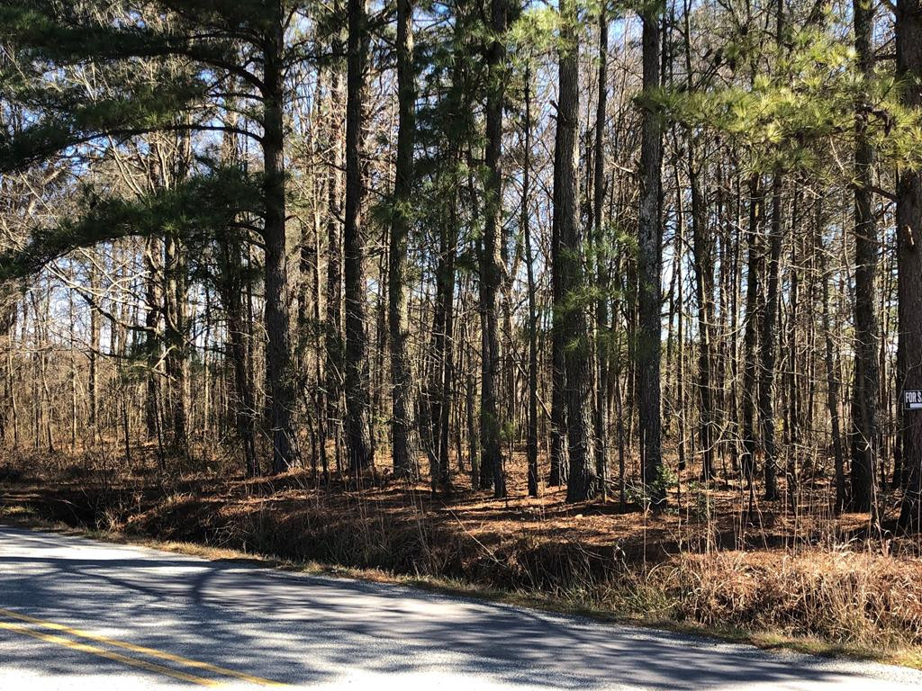 2849 Richardson Bridge Road Princeton, NC 27569 - Photo 1 of 2 Main View