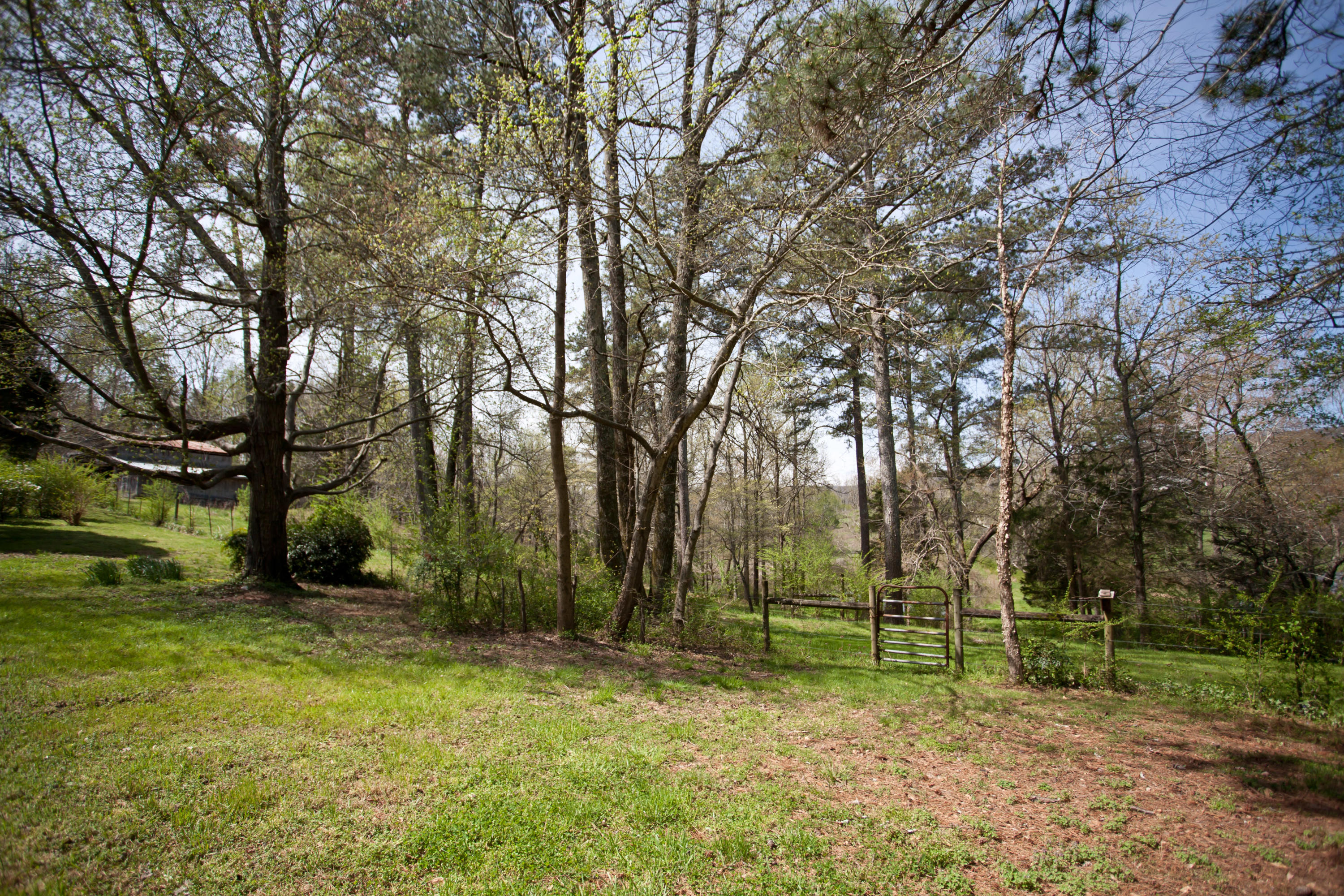 6904 North Marble Top Road Chickamauga, GA 30707 - Photo 11 of 26 IMG_6525