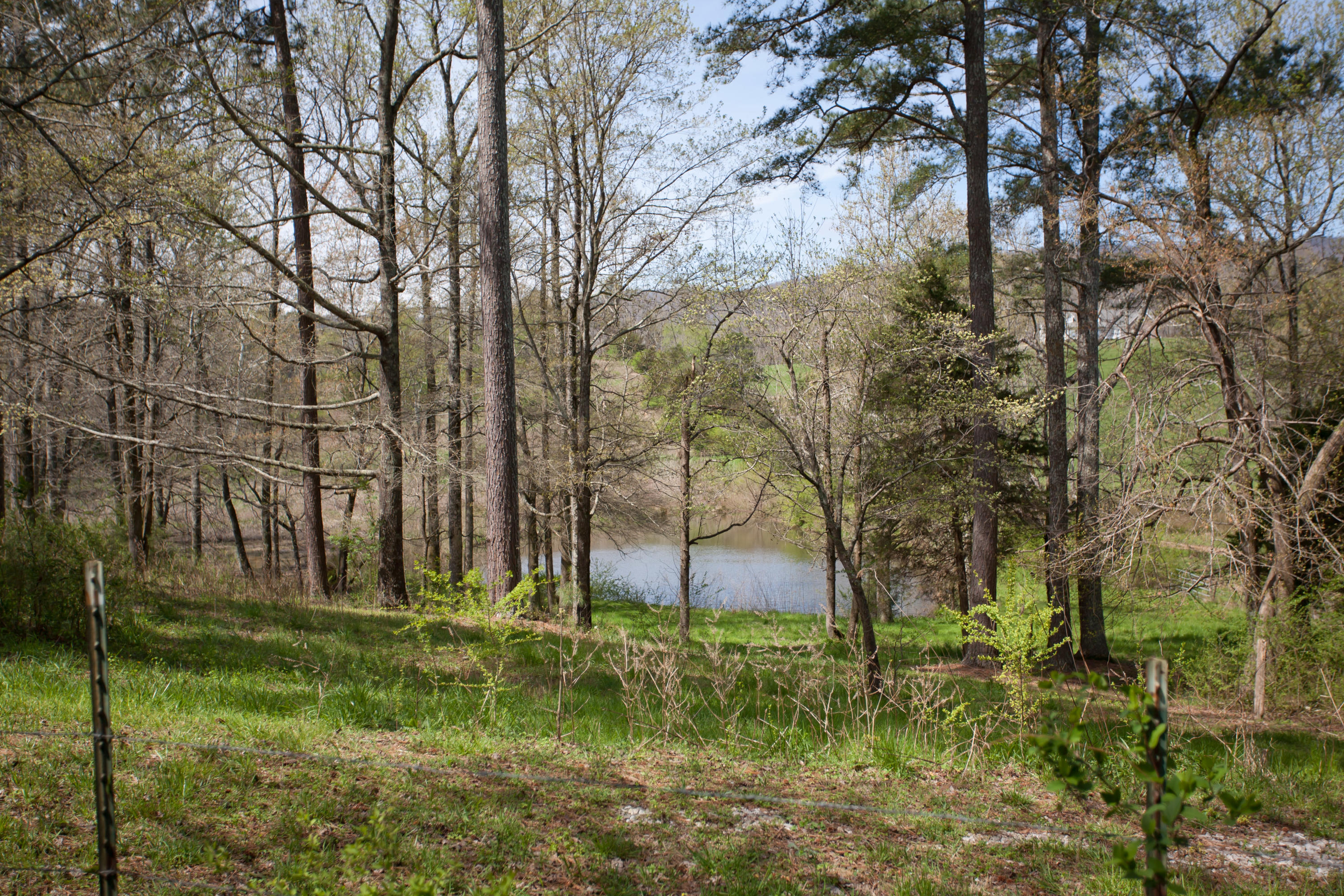 6904 North Marble Top Road Chickamauga, GA 30707 - Photo 15 of 26 IMG_6529