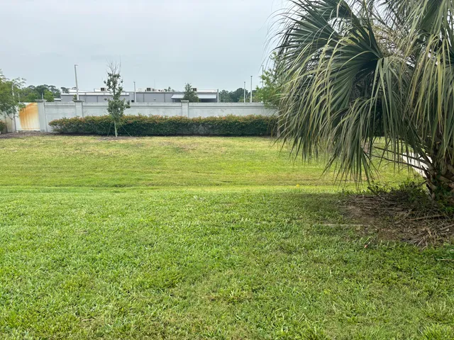 a view of a swimming pool with a yard