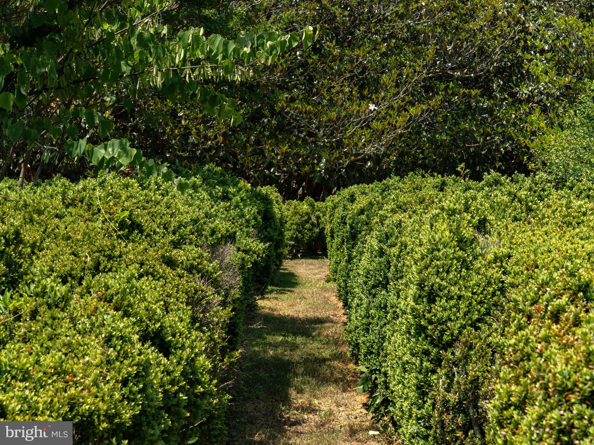 2345 Berry Hill Road Danville, VA 24541 - Photo 110 of 130 Boxwood Allee's abound restored by owners