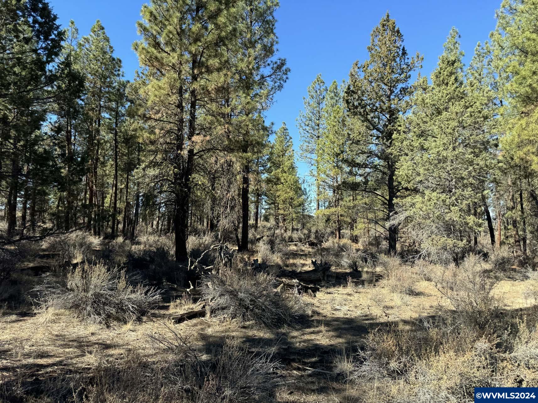 600 Oregon Pines Road Chiloquin, OR 97624 - Photo 45 of 49
