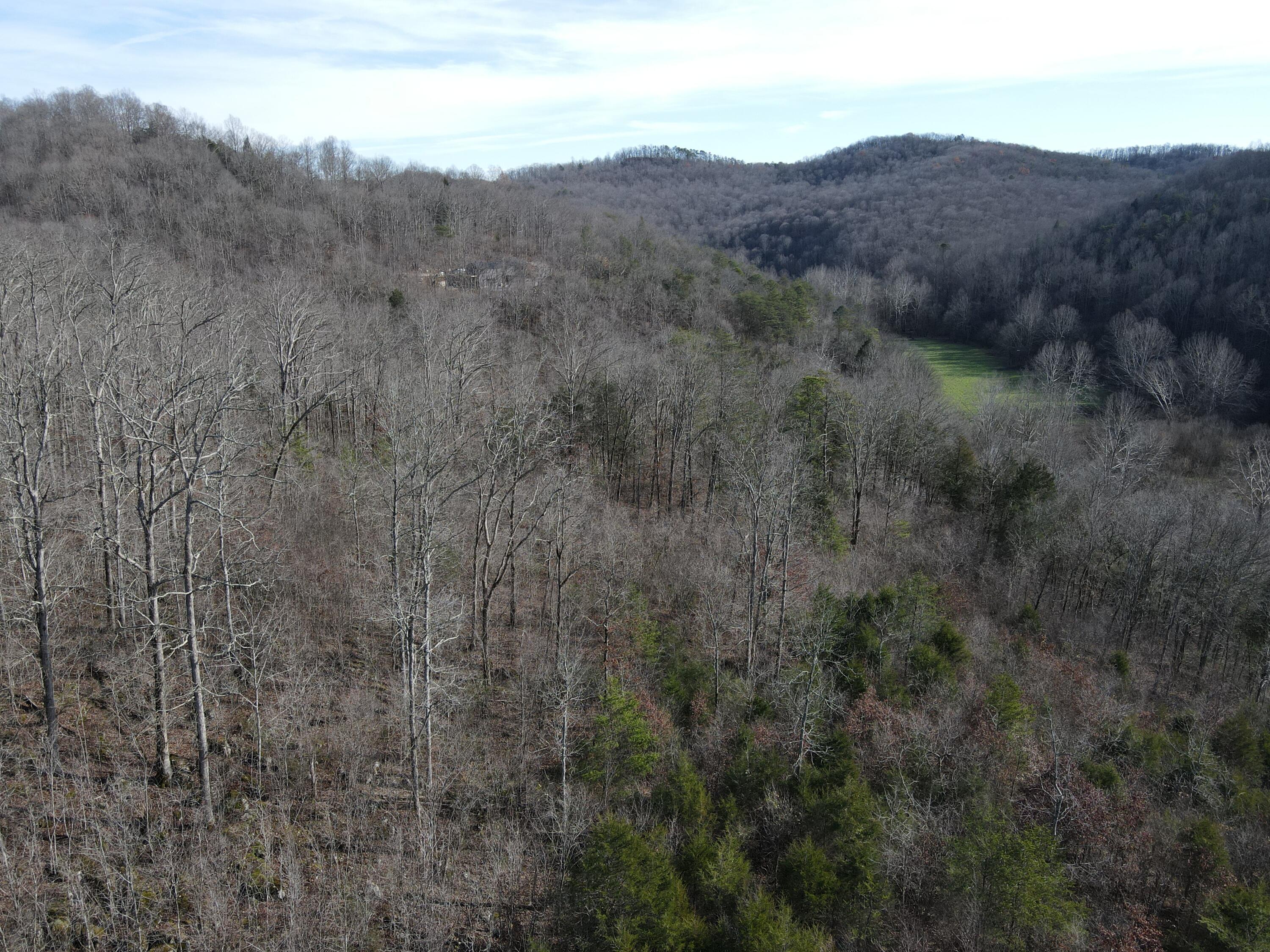 999 Mullins Station Road Livingston, KY 40445 - Photo 15 of 26 DJI_0486
