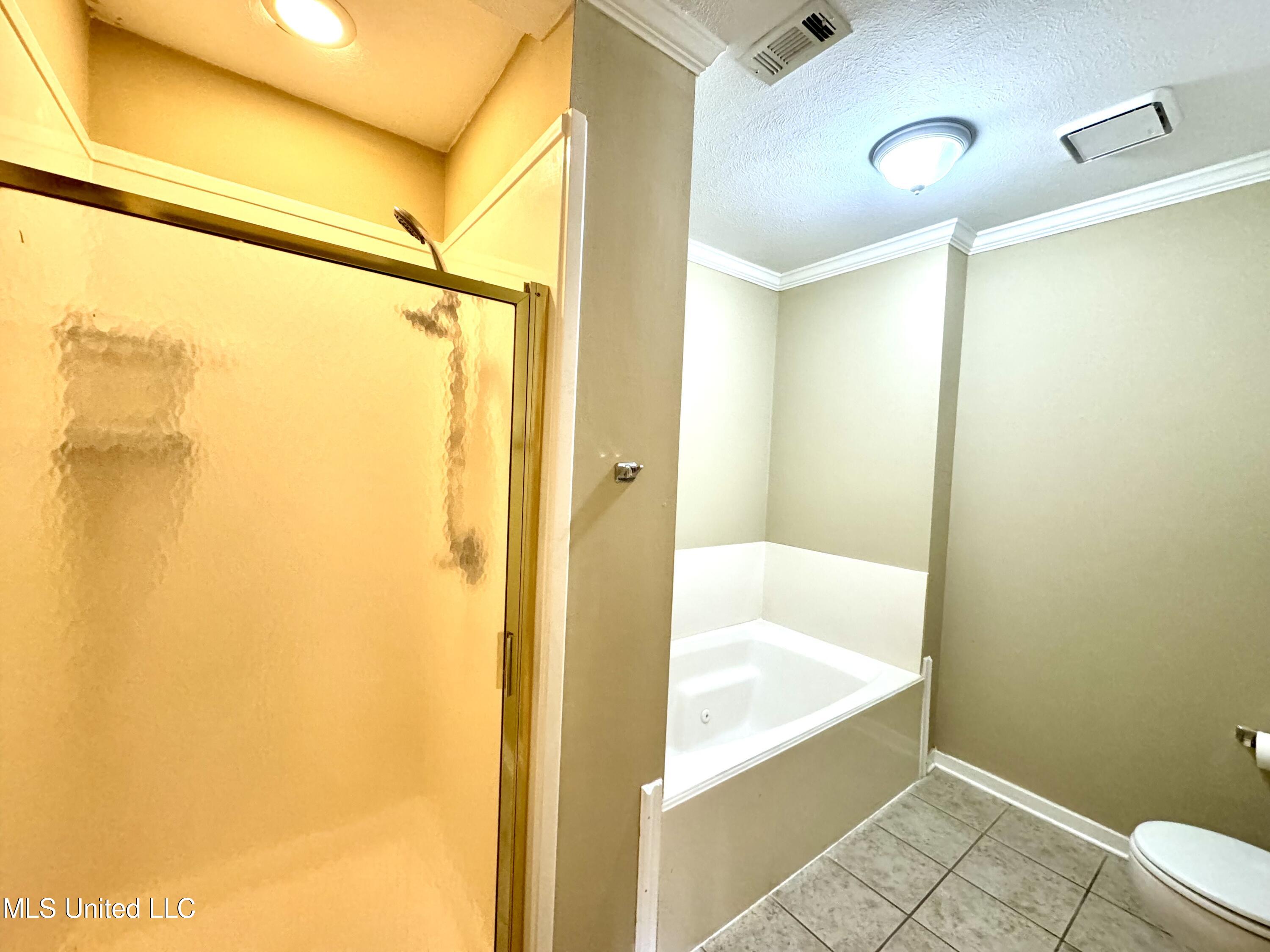 137 Trace Ridge Drive Ridgeland, MS 39157 - Photo 15 of 31 IMG_1429