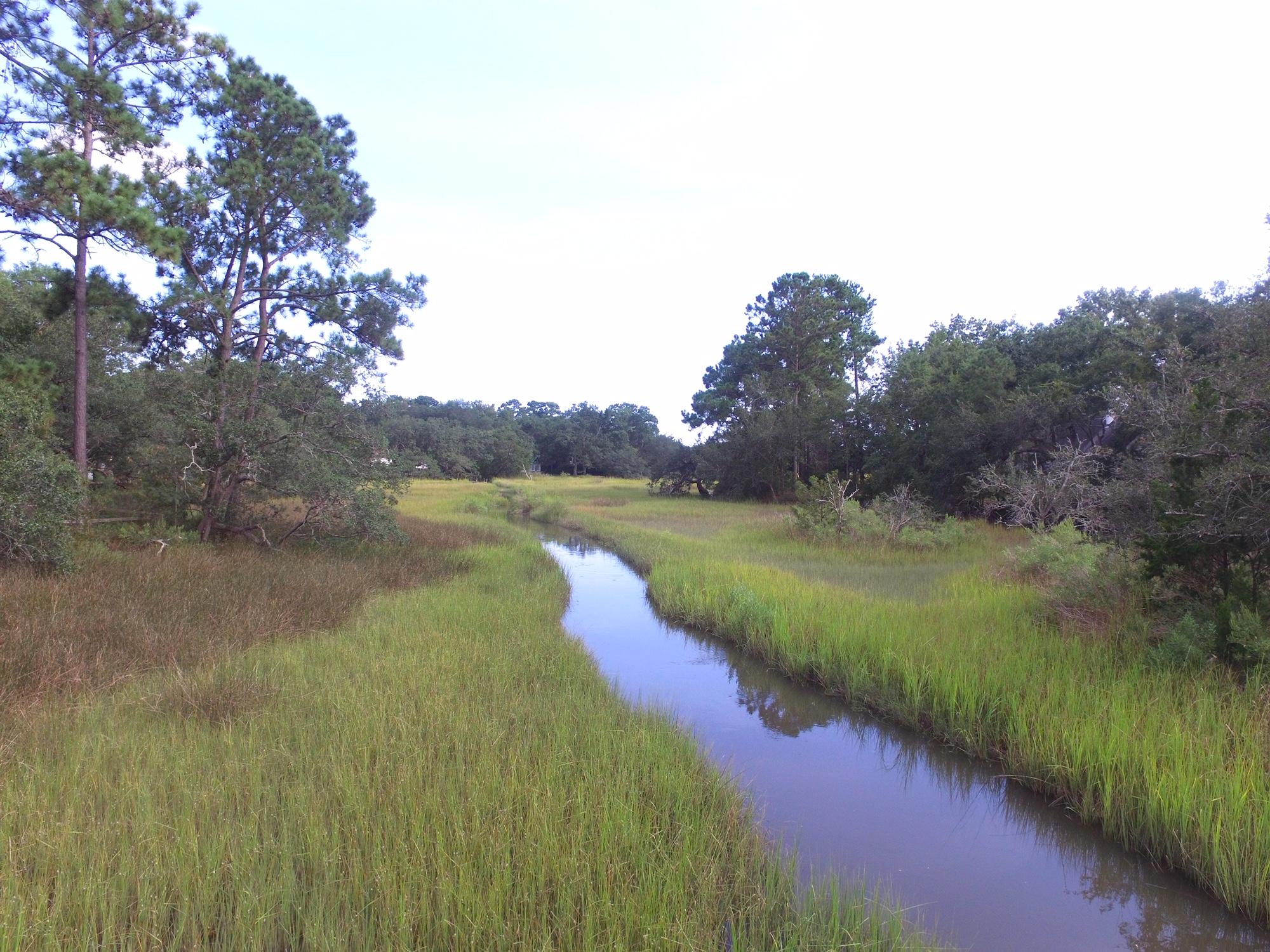 341 Canterbury Road Charleston, SC 29407 - Photo 23 of 23 IMG_5425
