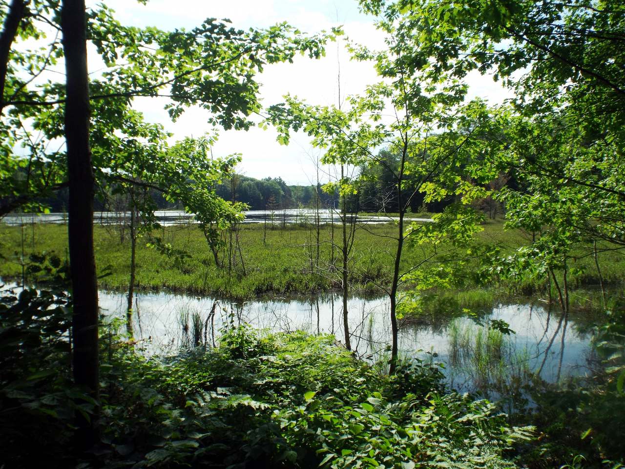 3060 Ed's Lake Road Crandon, WI 54520 - Photo 9 of 38 Gallery Image 9
