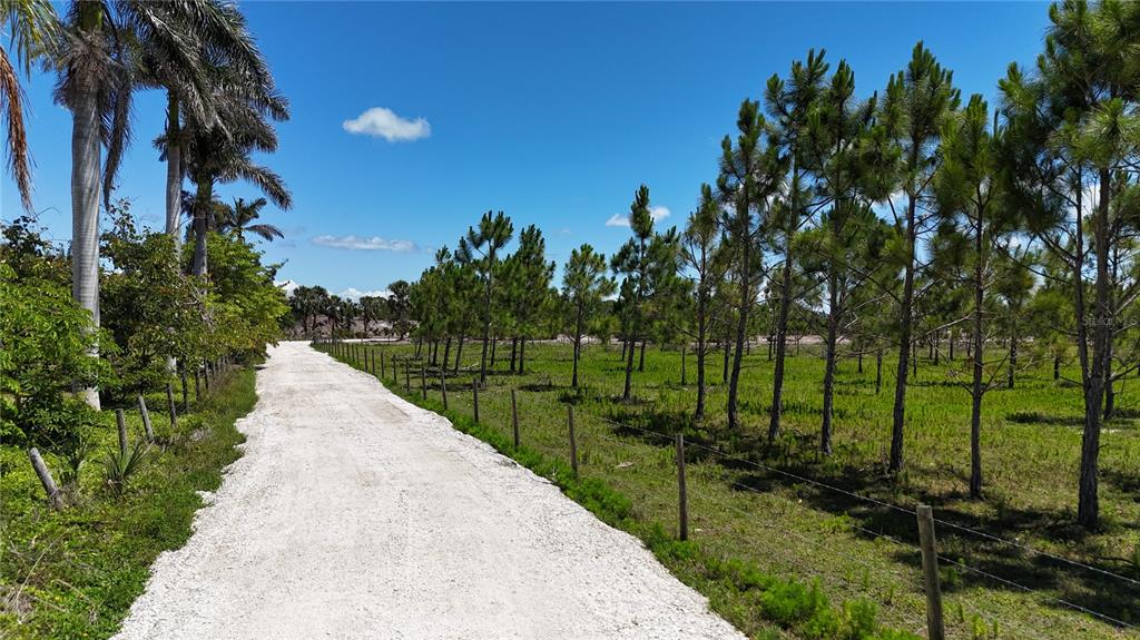 6455 Stringfellow Road St. James City, FL 33956 - Photo 3 of 33 a view of a park with large trees