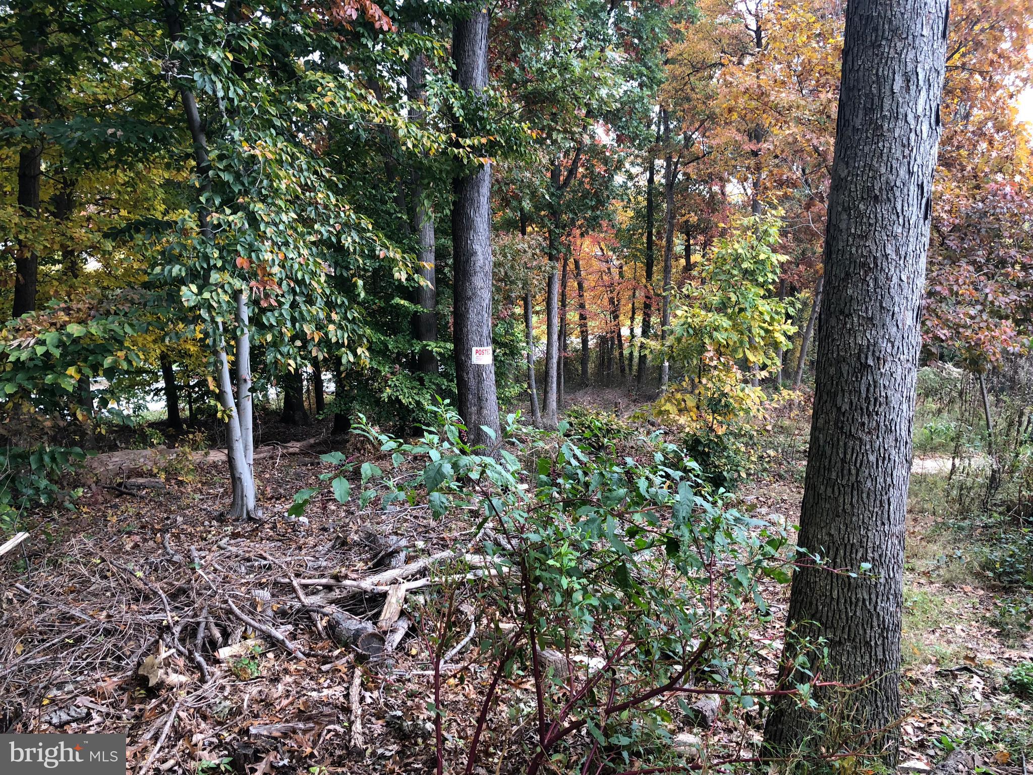Hunt Club Road Elkridge, MD 21075 - Photo 2 of 7 Gallery Image 2