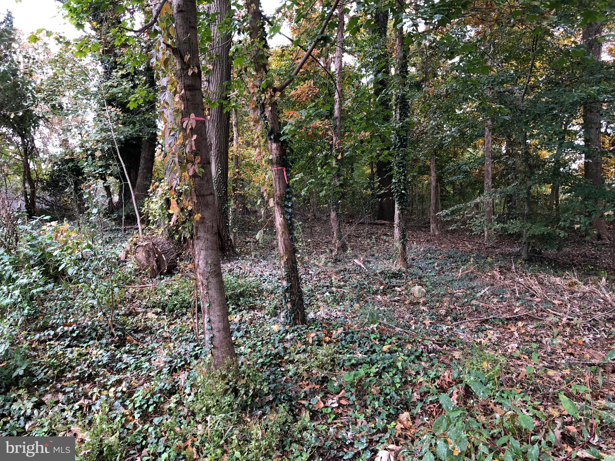 Hunt Club Road Elkridge, MD 21075 - Photo 3 of 7 Gallery Image 3