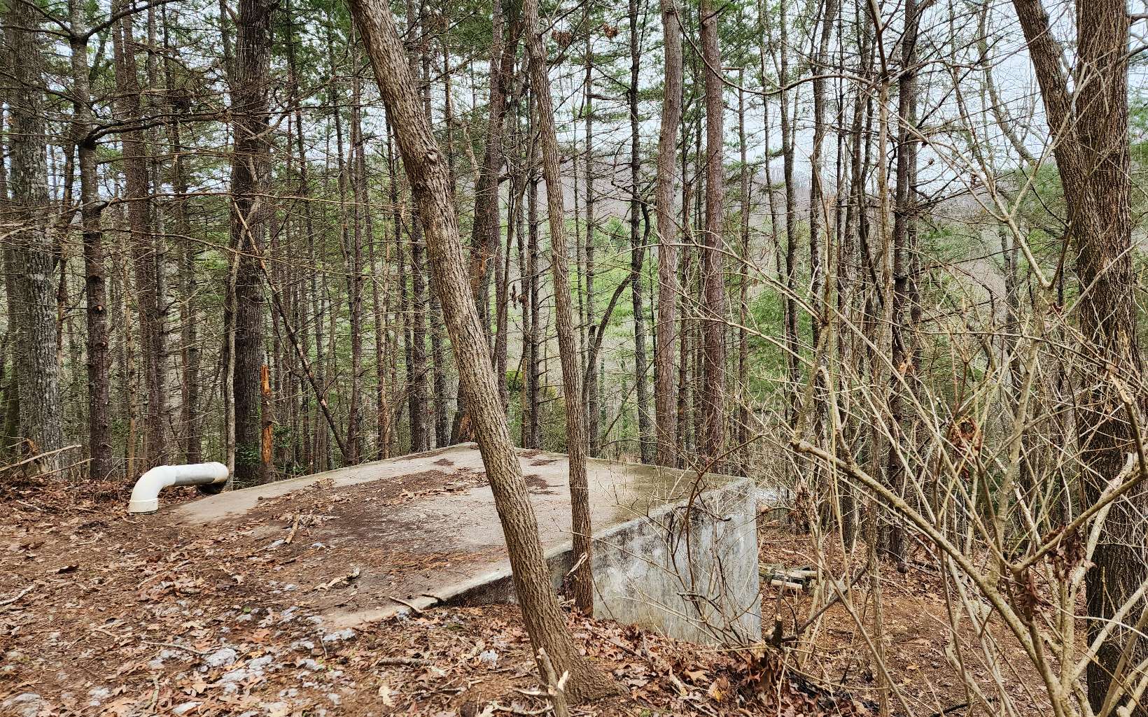 272 Luther Kidd Road Murphy, NC 28906 - Photo 13 of 20 Additional View