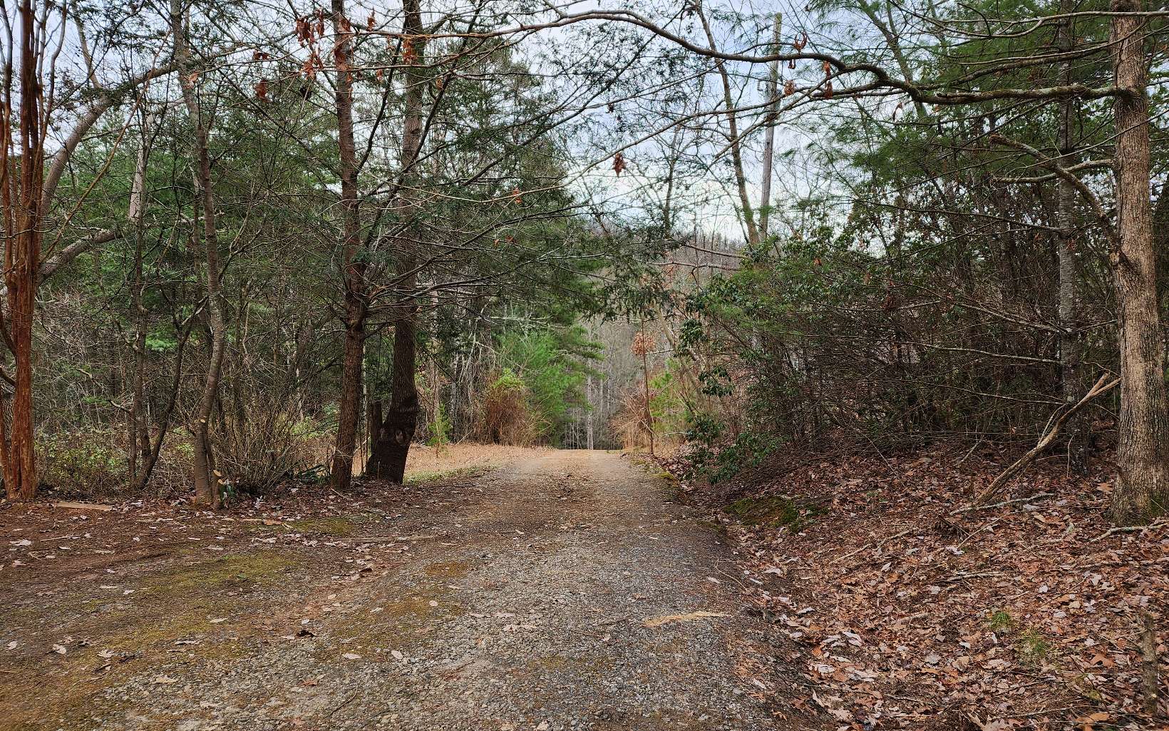 272 Luther Kidd Road Murphy, NC 28906 - Photo 20 of 20 Additional View