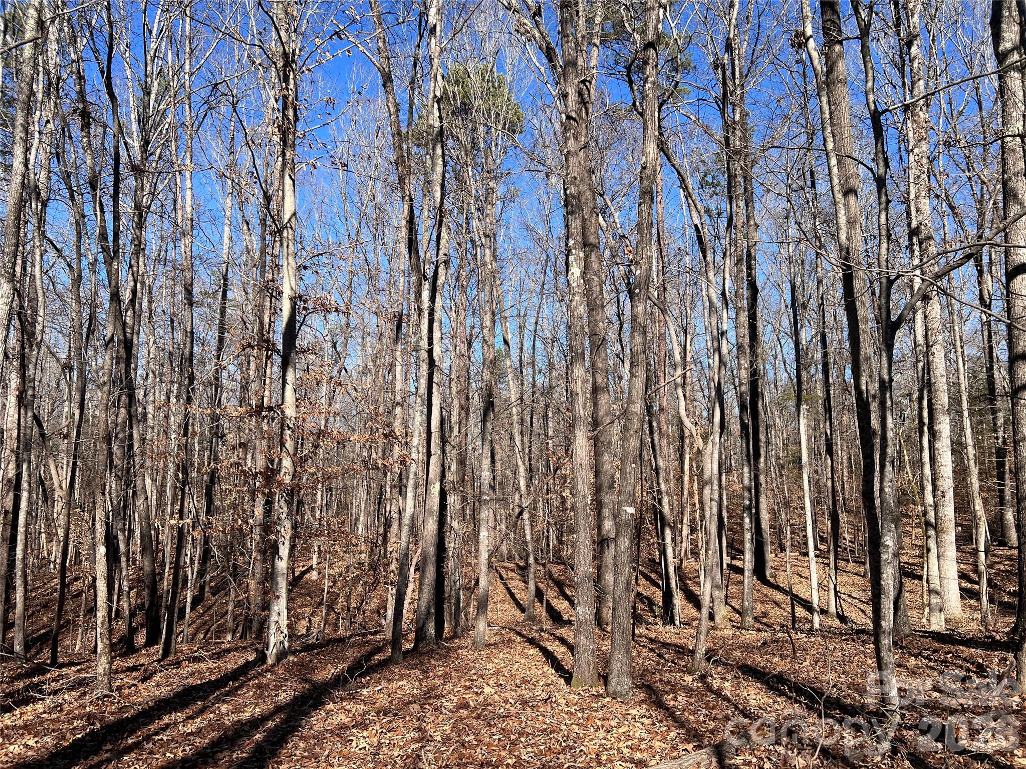 996 Split Trail Clover, SC 29710 - Photo 22 of 45 Gallery Image 22