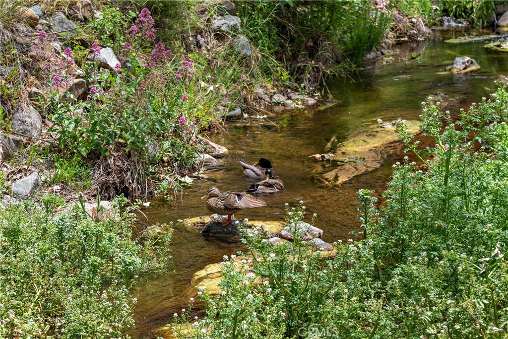 29229 Hazel Bell Drive Silverado, CA 92676 - Photo 37 of 39 a view of lake