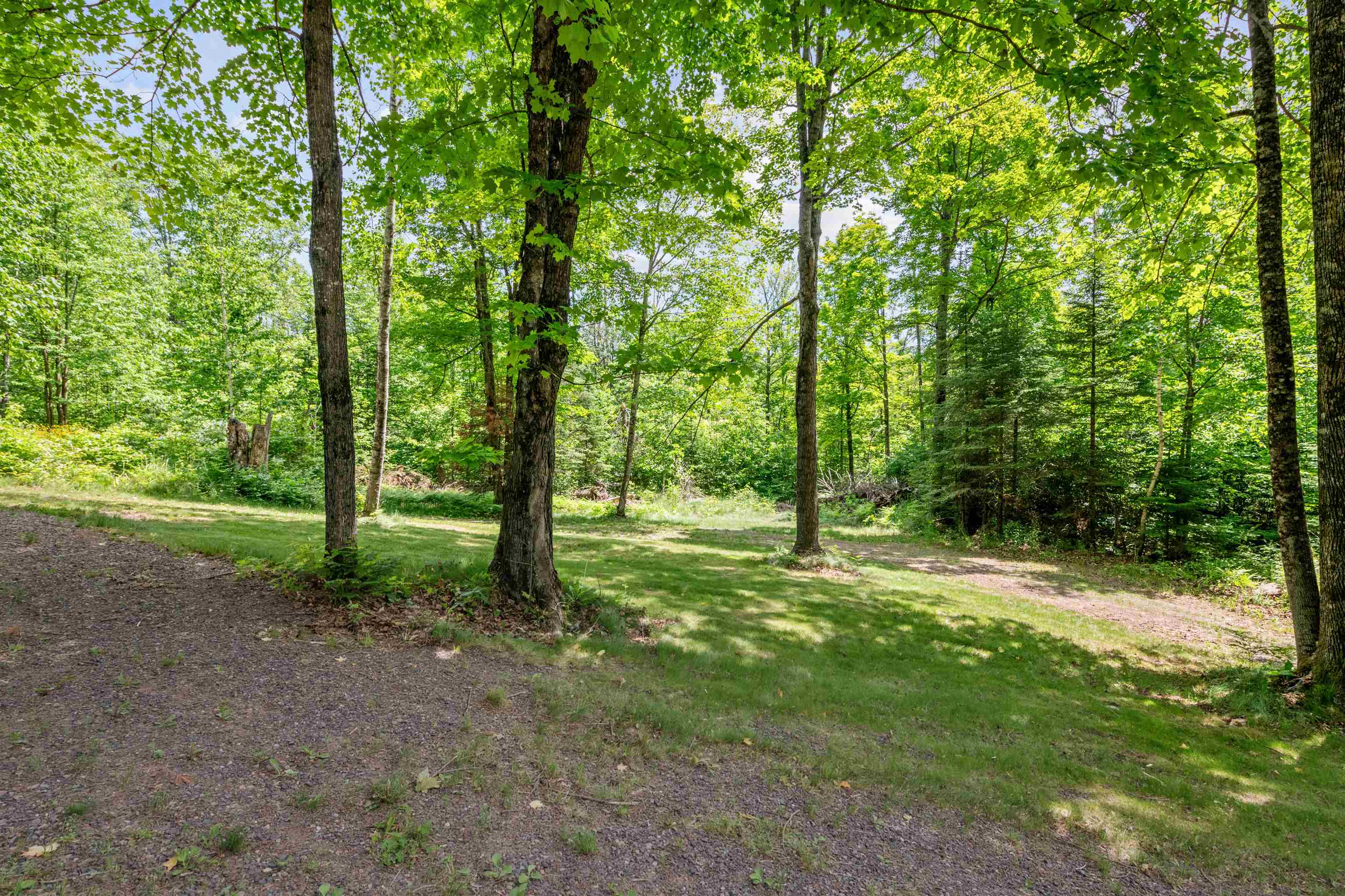 48840 Old Grade Road Cable, WI 54821 - Photo 20 of 22 View of wooded area