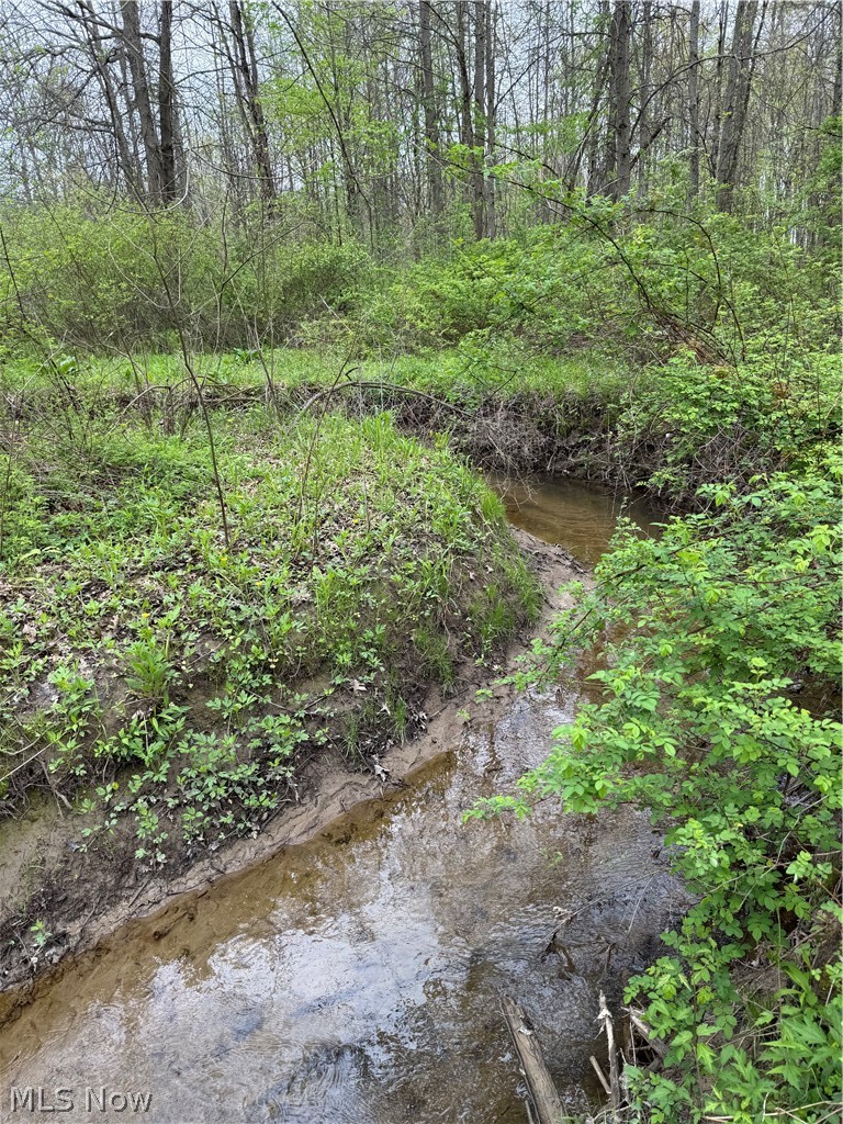 V/l Donley Road Middlefield, OH 44062 - Photo 20 of 30