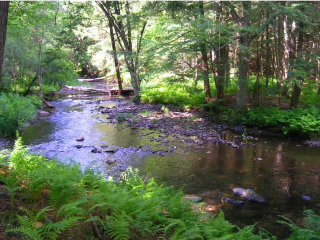 Lot 2 East Putney Brook Road Putney, VT 05346 - Photo 1 of 6 Gallery Image 1