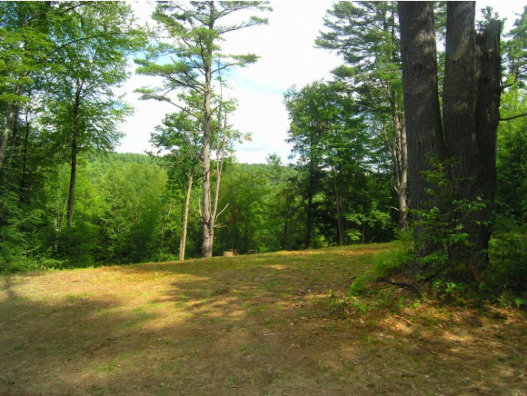 Lot 2 East Putney Brook Road Putney, VT 05346 - Photo 2 of 6 Gallery Image 2