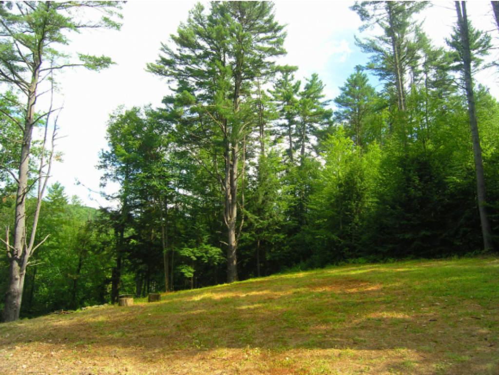 Lot 2 East Putney Brook Road Putney, VT 05346 - Photo 3 of 6 Gallery Image 3
