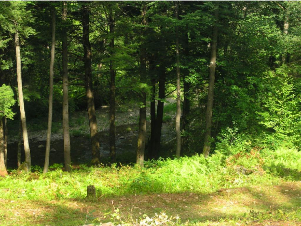 Lot 2 East Putney Brook Road Putney, VT 05346 - Photo 5 of 6 Gallery Image 5