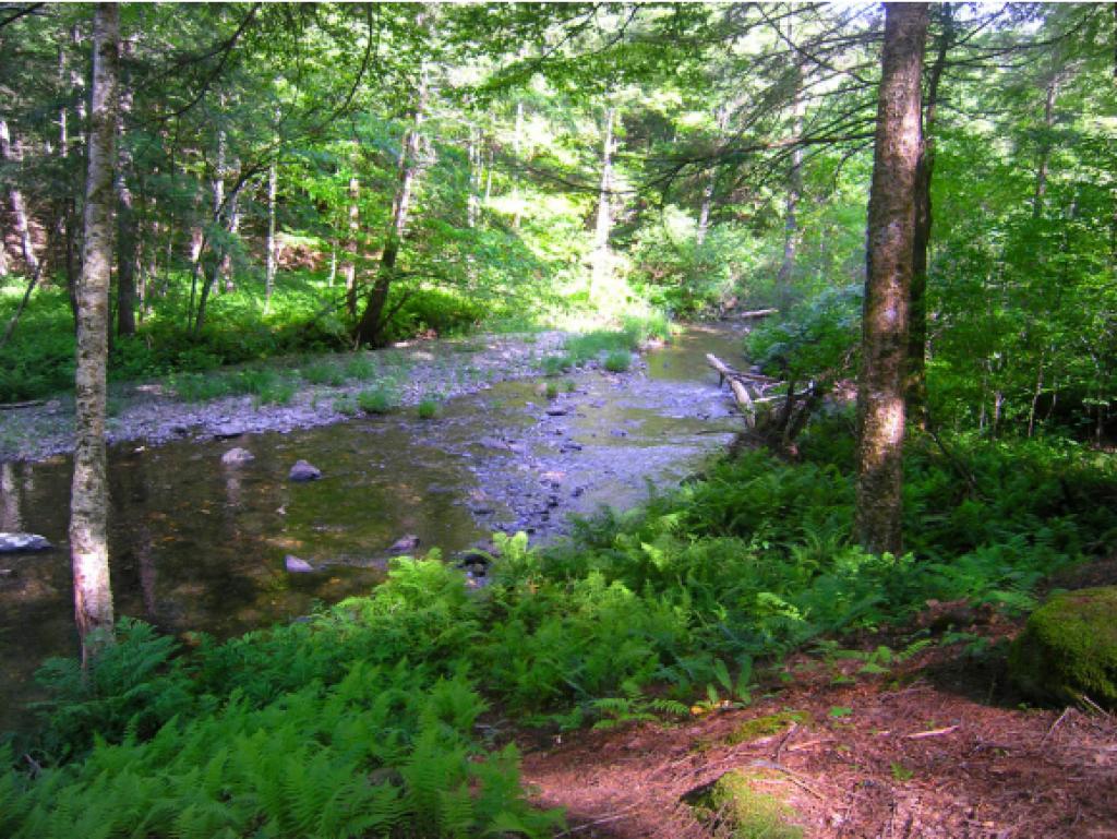 Lot 2 East Putney Brook Road Putney, VT 05346 - Photo 6 of 6 Gallery Image 6