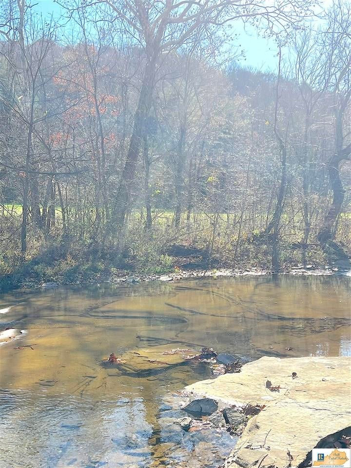 251 Crocus View Road Glens Fork, KY 42741 - Photo 50 of 54 Gallery Image 50