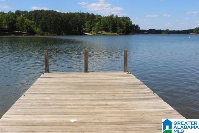 520 Rabbit Point Road Cropwell, AL 35054 - Photo 2 of 38