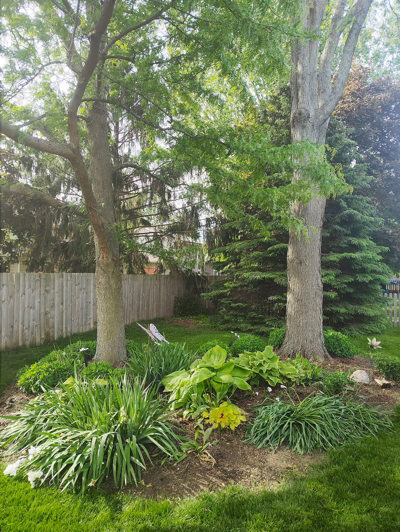 540 Parkside Drive Elburn, IL 60119 - Photo 34 of 38