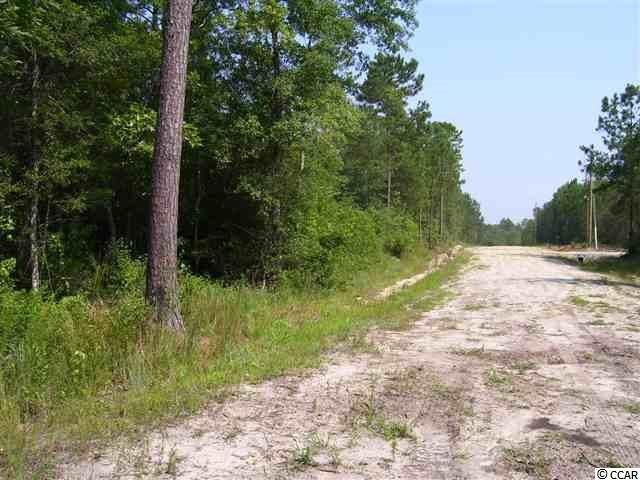 Lot 4 Thomas Road Little River, SC 29566 - Photo 1 of 1 Gallery Image 1