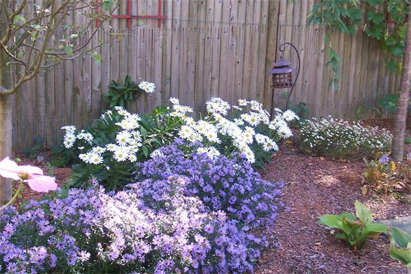 197 Playstead Road Medford, MA 02155 - Photo 26 of 28 Gallery Image 26