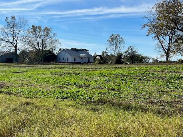 26230 Hub Brown Road Opp, AL 36467 - Photo 9 of 27 Gallery Image 9