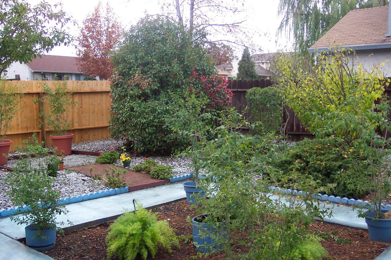 590 Vansicklen Way Redding, CA 96003 - Photo 4 of 13 Backyard