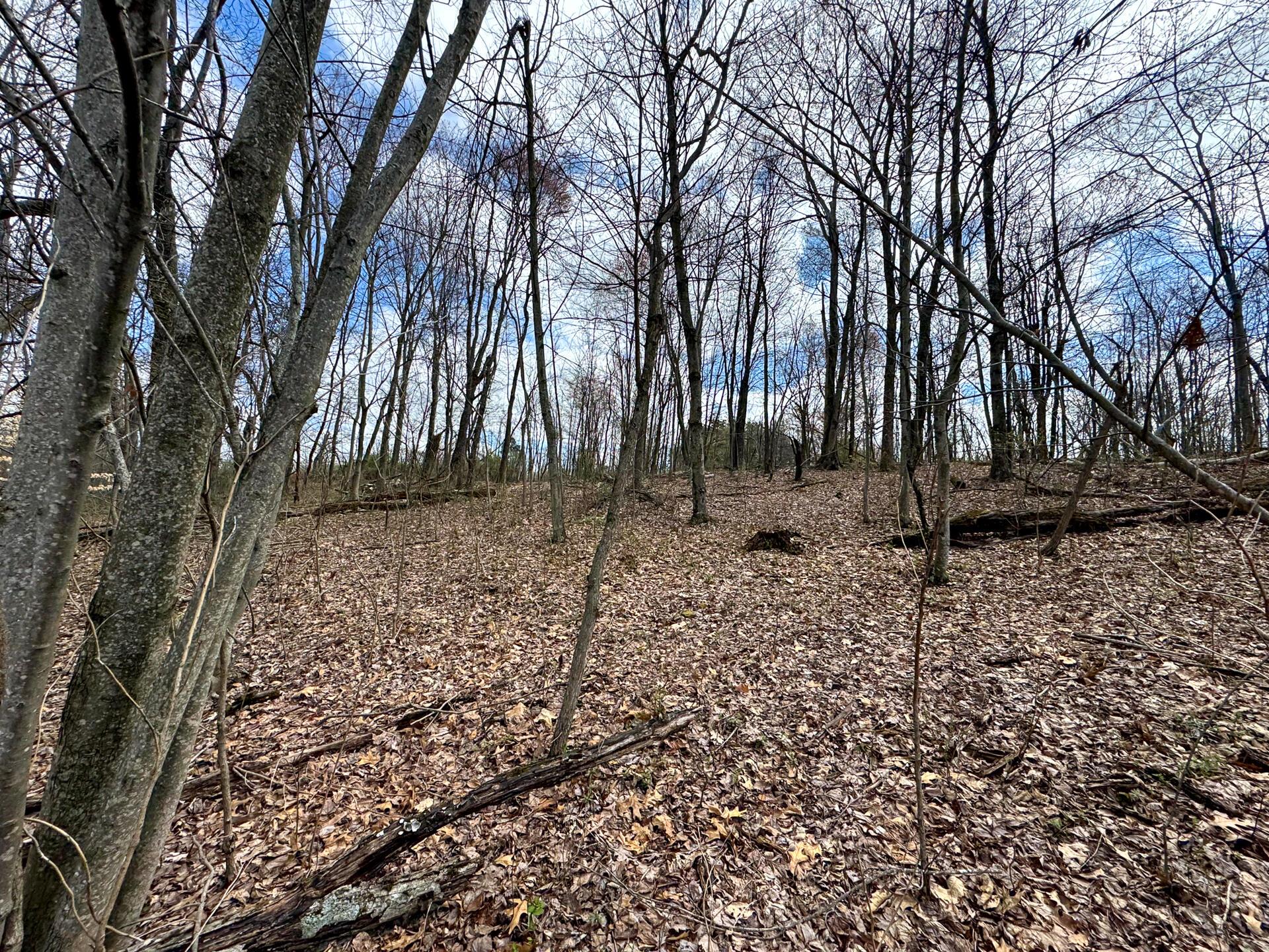 100 Golf Course Road, Unit TRACT 12 SKYLINE ACRES) Waverly, OH 45690 - Photo 11 of 44 CT-11
