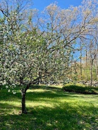 460 Littlefield Road Boxborough, MA 01719 - Photo 38 of 41 a view of a trees with a yard