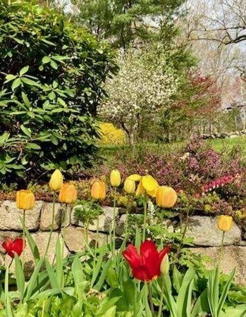 460 Littlefield Road Boxborough, MA 01719 - Photo 39 of 41 a view of a flower