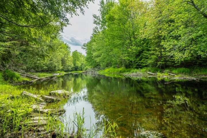Lot 88-1 Appleton Ridge Road Searsmont, ME 04973 - Photo 2 of 15 image