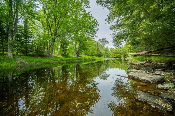 Lot 88-1 Appleton Ridge Road Searsmont, ME 04973 - Photo 3 of 15 image