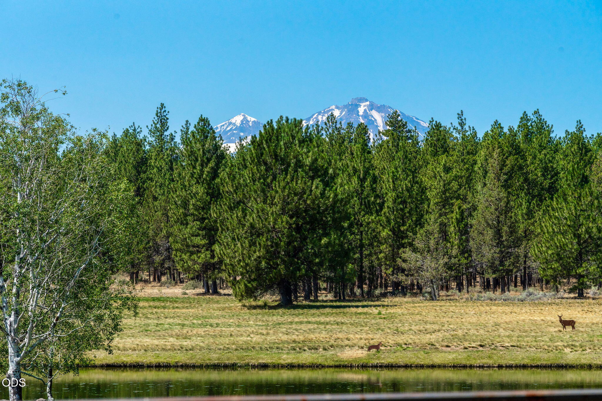 67376 Peterson Mill Road Sisters, OR 97759 - Photo 66 of 72