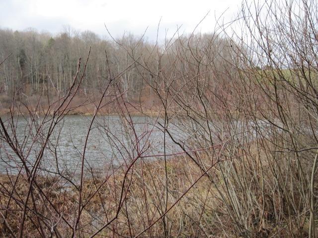 129 Simmons Road Edmeston, NY 13335 - Photo 1 of 1 Gallery Image 1