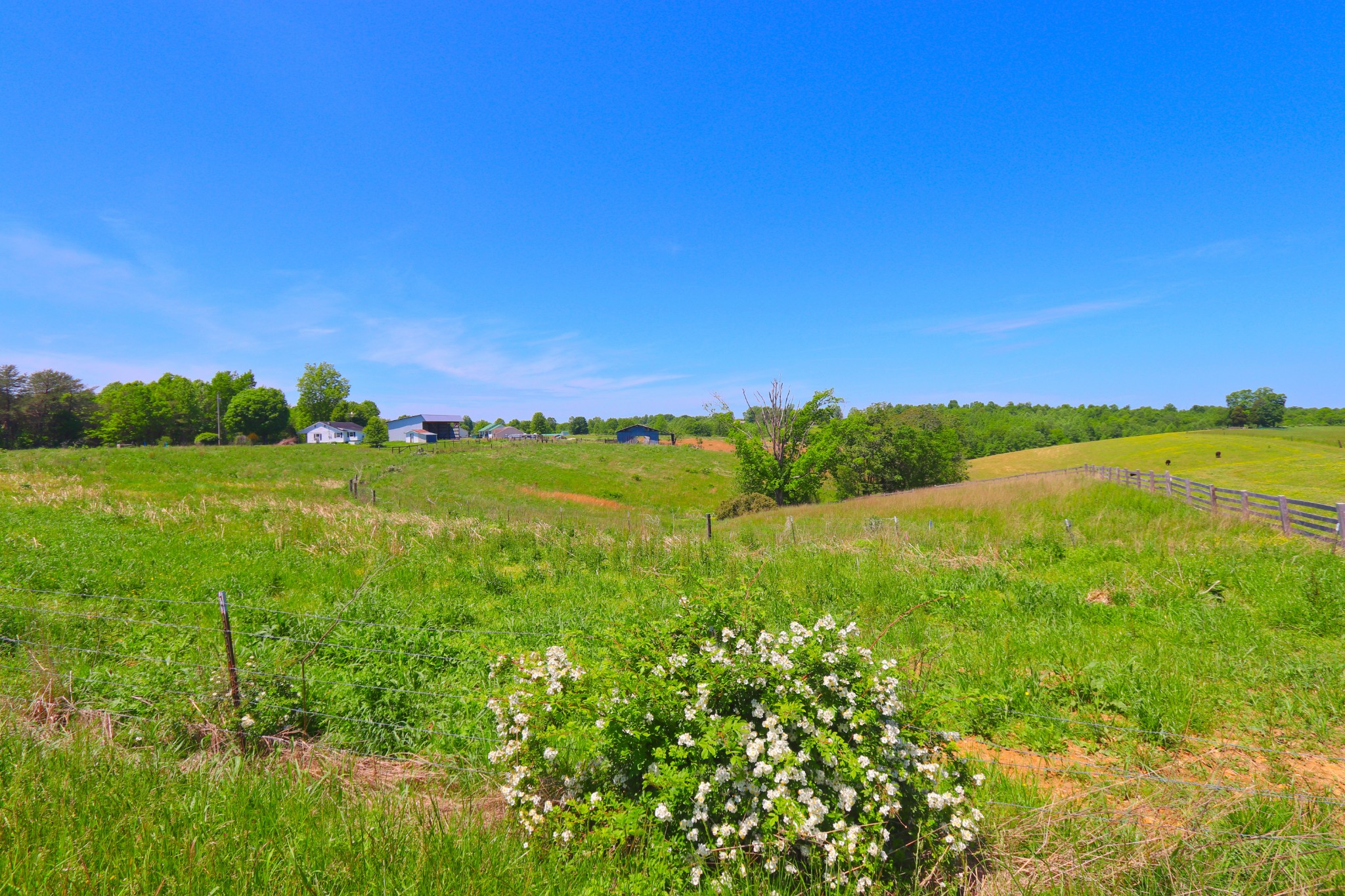 a view of a green field with lots of bushes