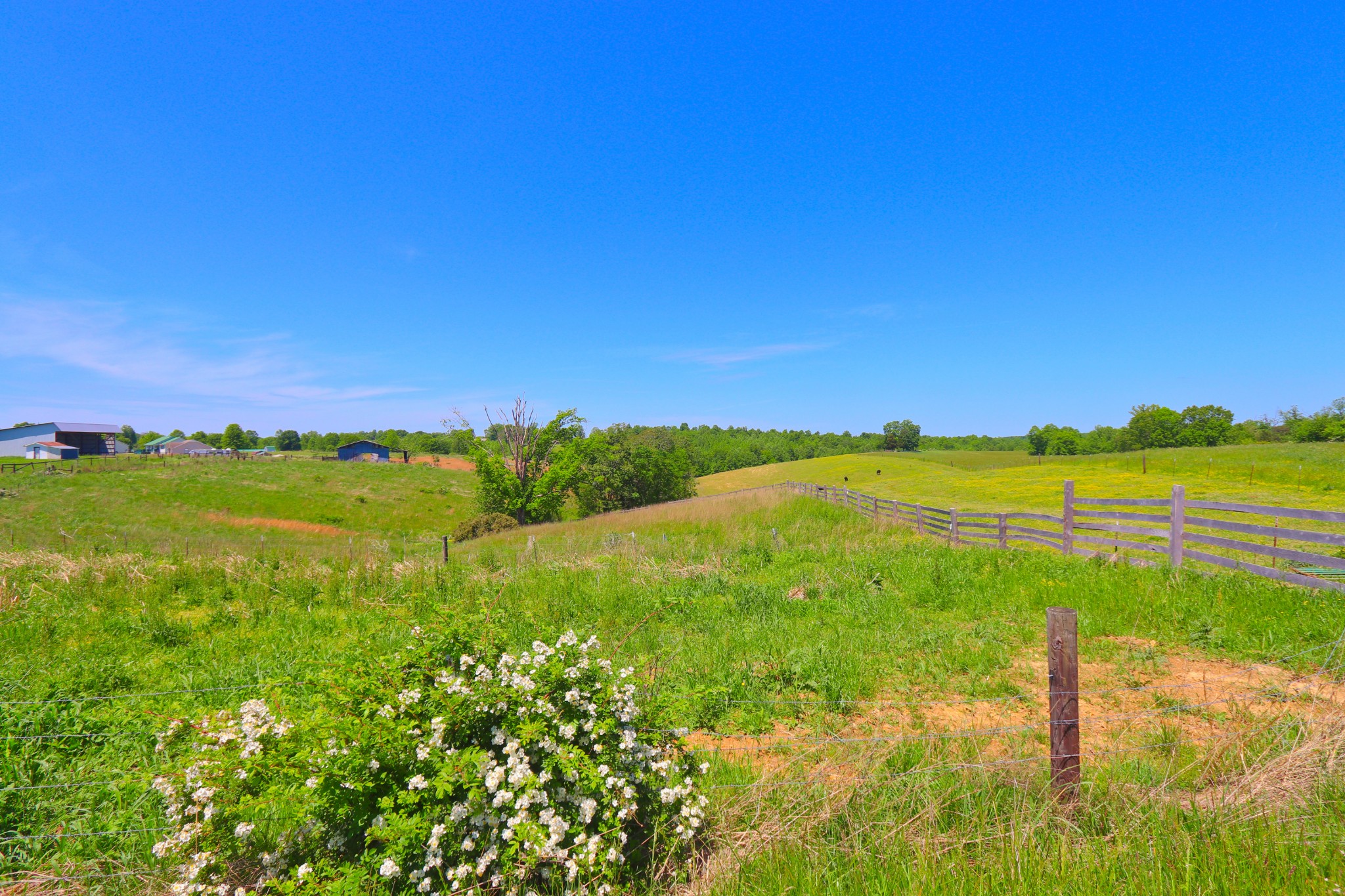783 Rose Hill Road Red Boiling Springs, TN 37150 - Photo 4 of 6 a view of an ocean and a yard