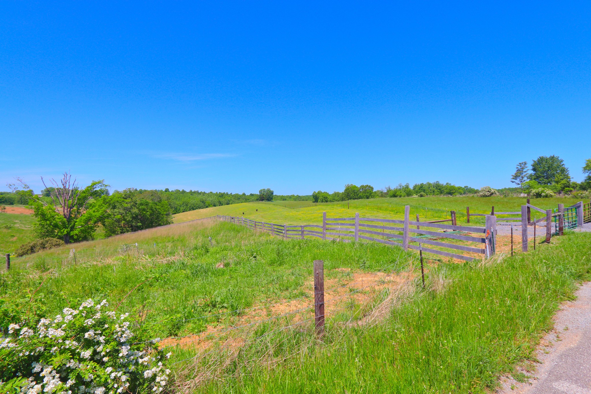 783 Rose Hill Road Red Boiling Springs, TN 37150 - Photo 5 of 6 a view of a garden with an outdoor space