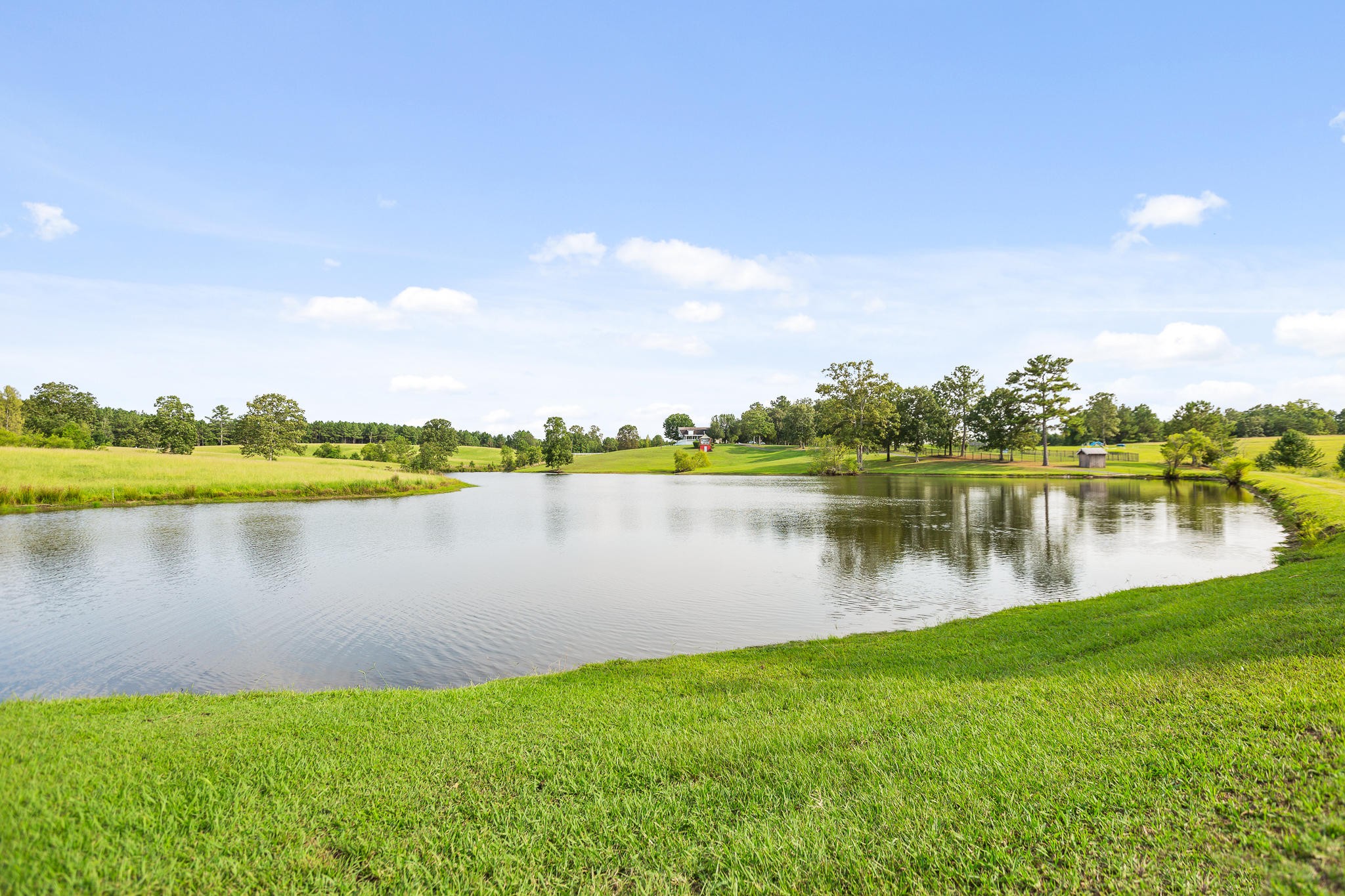 304 Southwest County 182 Road Cedar Bluff, AL 35959 - Photo 47 of 70 Gallery Image 47