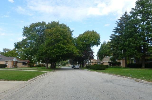 465 Iroquois Road Hillside, IL 60162 - Photo 3 of 8 a view of a park with tree s