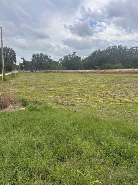 1100 Eloise Loop Road Winter Haven, FL 33884 - Photo 6 of 8