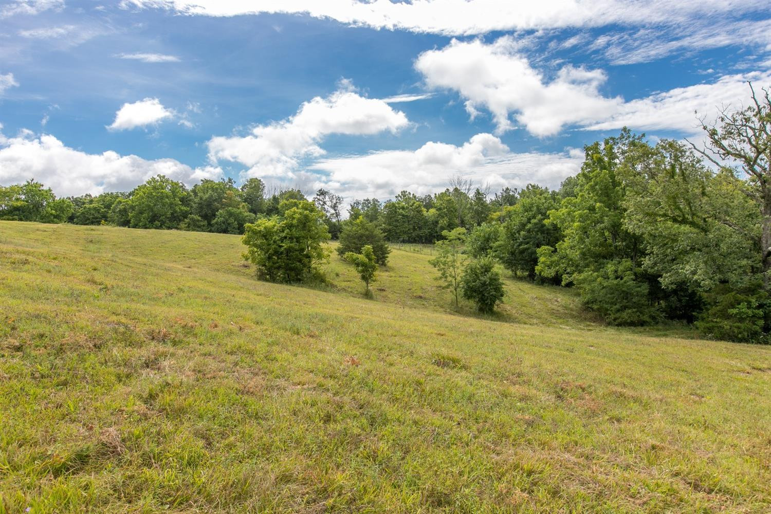 1739 Graves Road Stamping Ground, KY 40379 - Photo 5 of 28 Photo 5