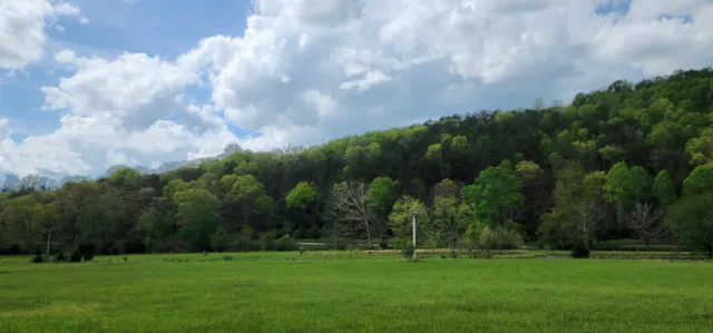 an aerial view of green field