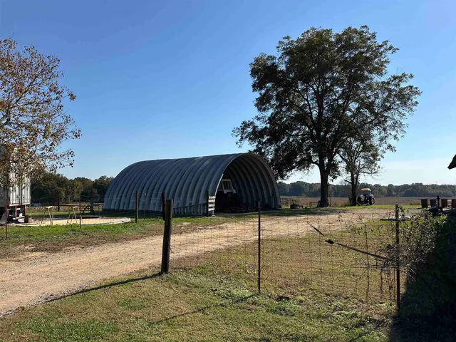 a view of a yard with an tree
